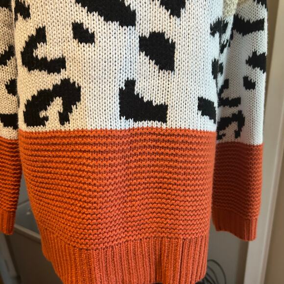 Sweater Cowl Neck SZ LG Multi Knit and Colors Cheetah Chunky Eclectic Aralyn Rae - Picture 5 of 9